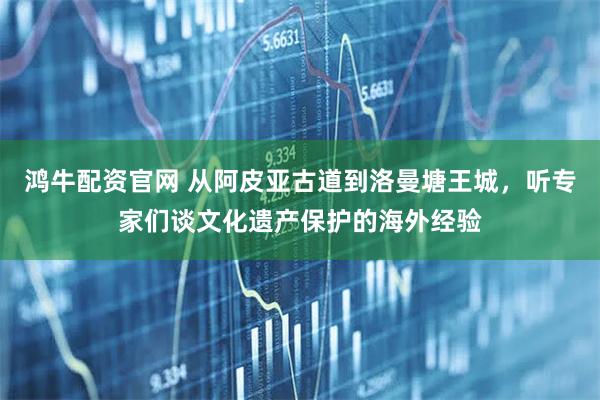 鸿牛配资官网 从阿皮亚古道到洛曼塘王城，听专家们谈文化遗产保护的海外经验
