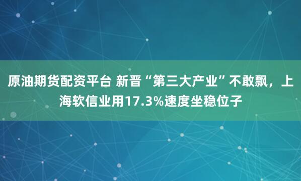原油期货配资平台 新晋“第三大产业”不敢飘，上海软信业用17.3%速度坐稳位子